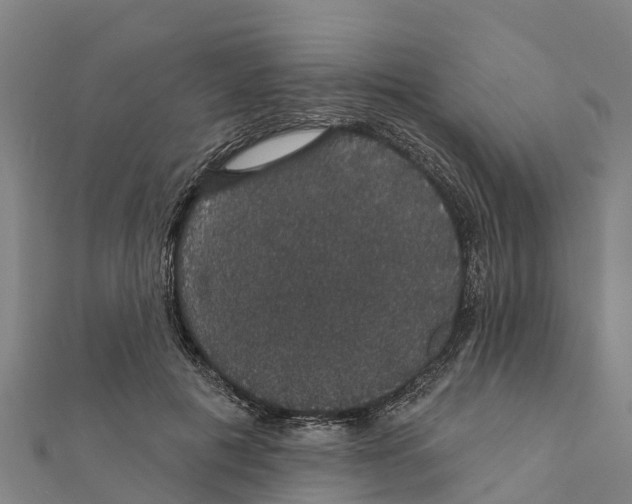 X0000111590601200908131342