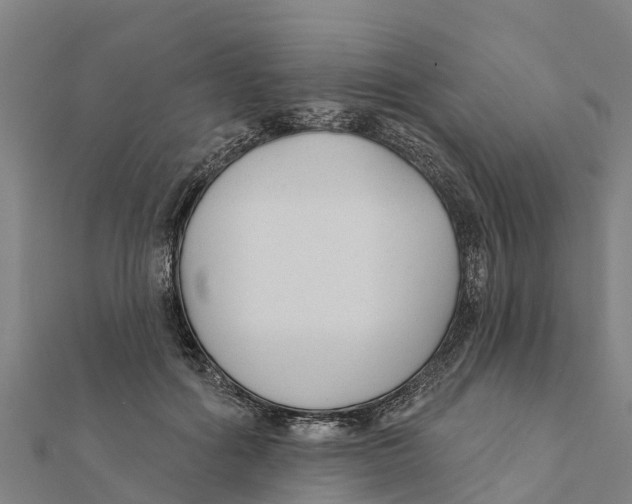 X0000111590602200908131342