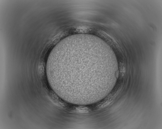 X0000111590603200908131342
