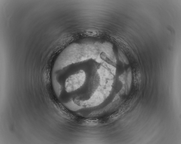 X0000111590606200908131342