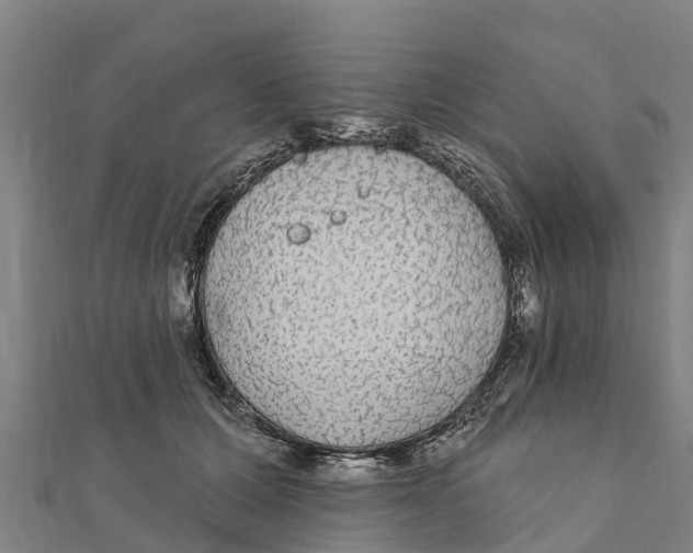 X0000111590607200908131342