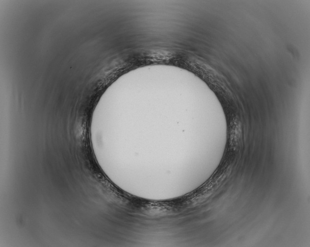 X0000111590608200908131342