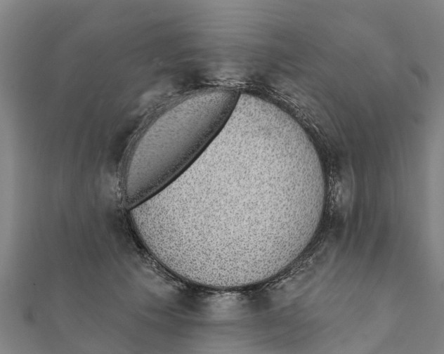X0000111590609200908131342
