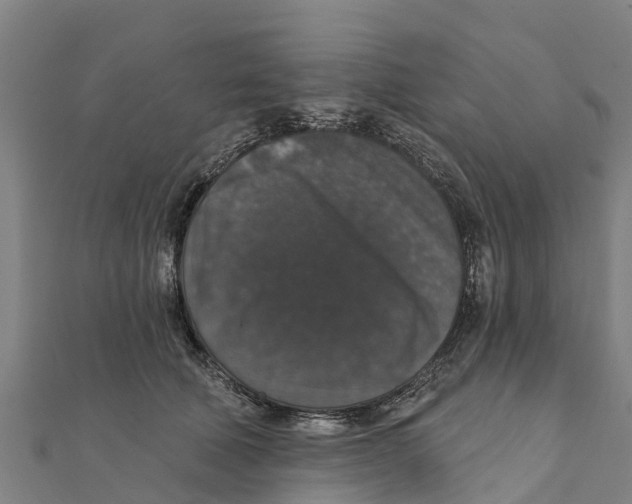 X0000111590610200908131342