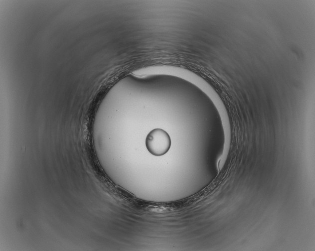 X0000111590611200908131342
