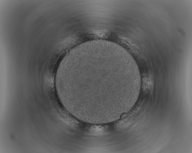 X0000111590613200908131342