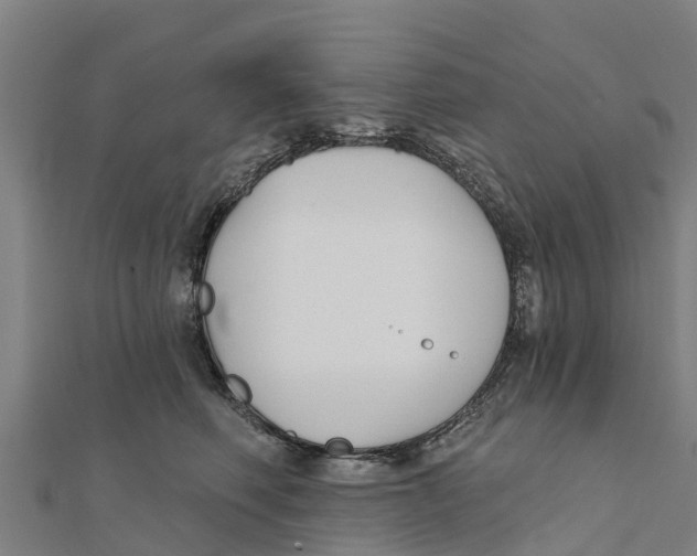 X0000111590614200908131342