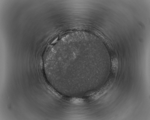 X0000111590617200908131342