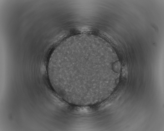 X0000111590618200908131342