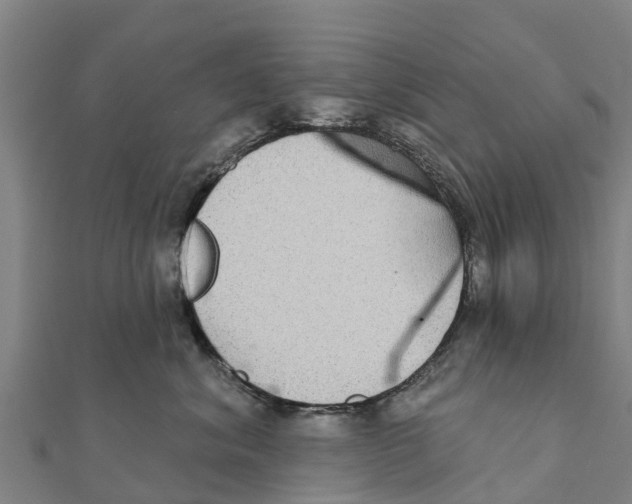 X0000111590620200908131342