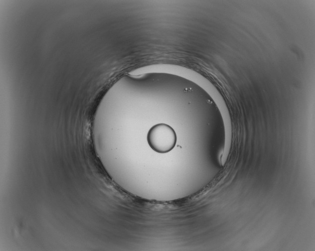X0000111590621200908131342