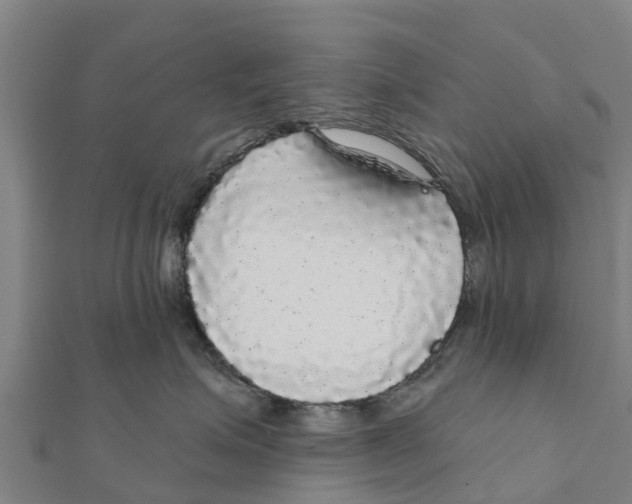 X0000111590623200908131342