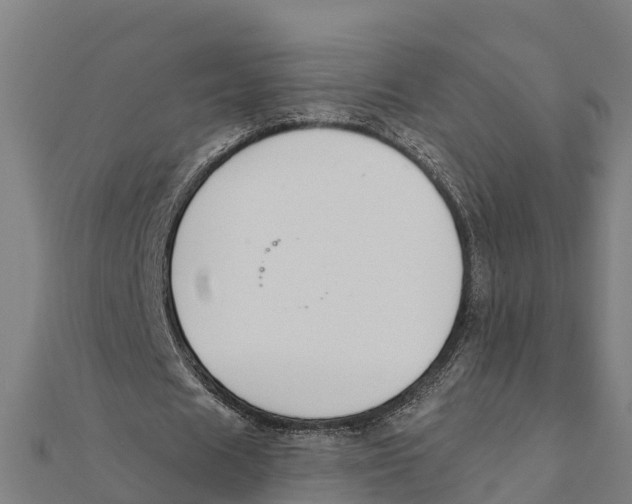 X0000111590625200908131341