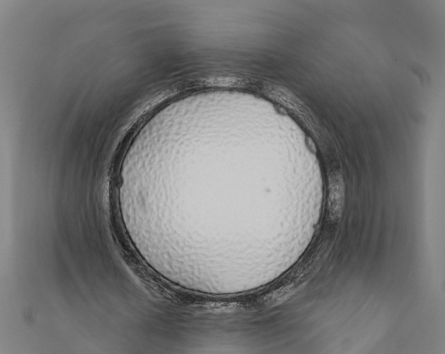X0000111590626200908131341