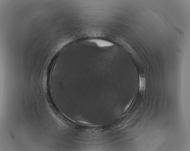 X0000111590627200908131341