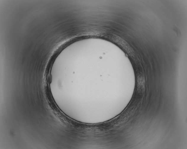 X0000111590628200908131341