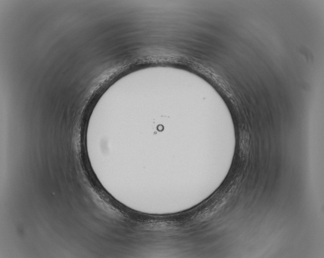 X0000111590629200908131341
