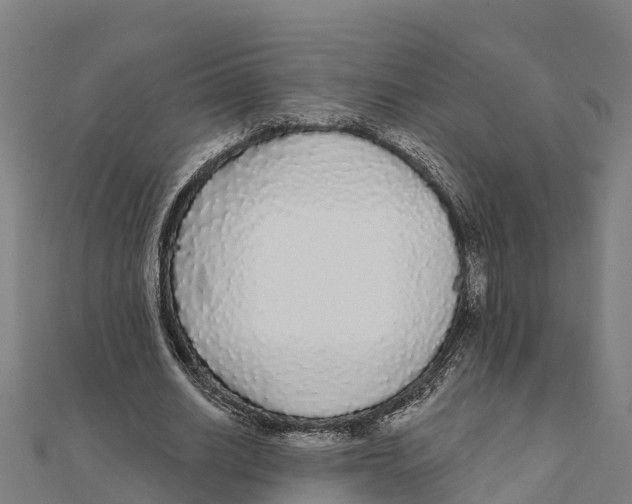 X0000111590630200908131341