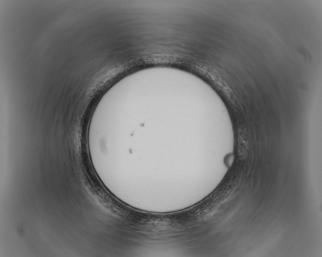 X0000111590631200908131341