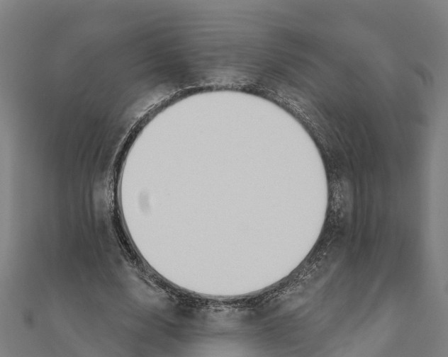 X0000111590632200908131341
