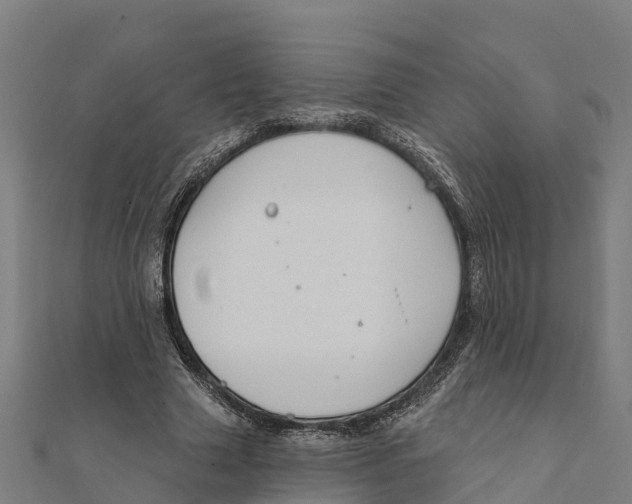 X0000111590633200908131341