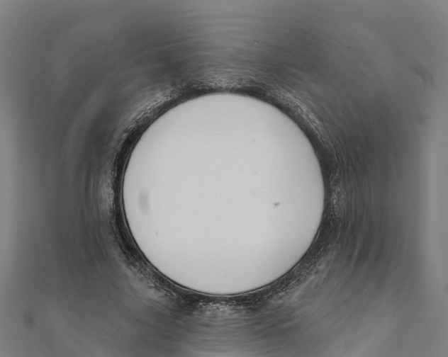 X0000111590635200908131341