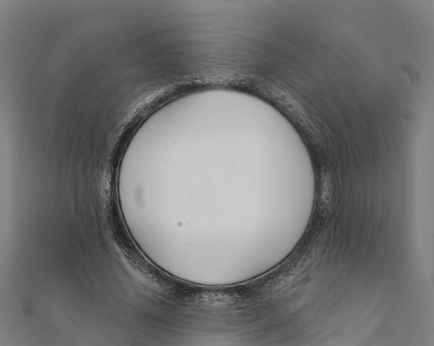 X0000111590636200908131341