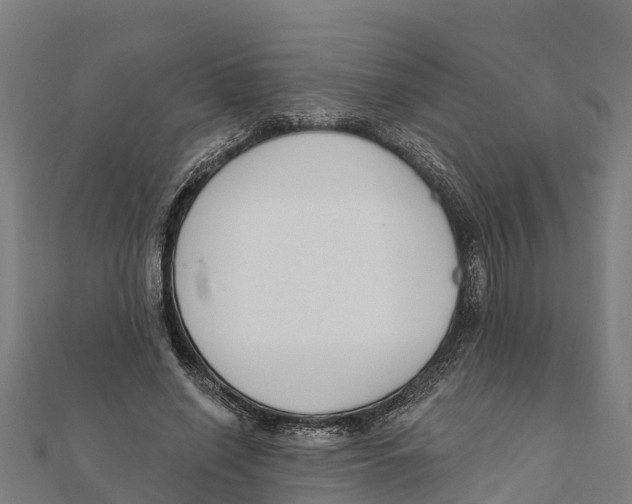 X0000111590638200908131341