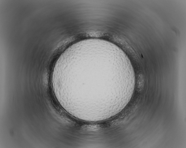 X0000111590639200908131341
