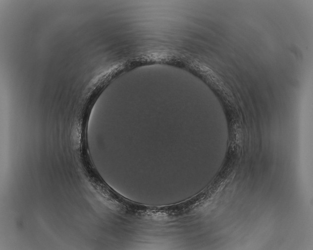 X0000111590640200908131341