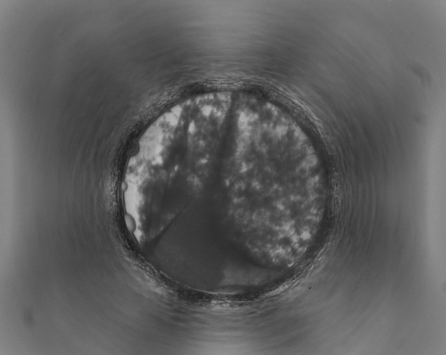 X0000111590641200908131341