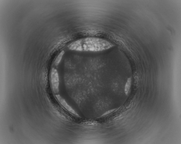X0000111590642200908131341
