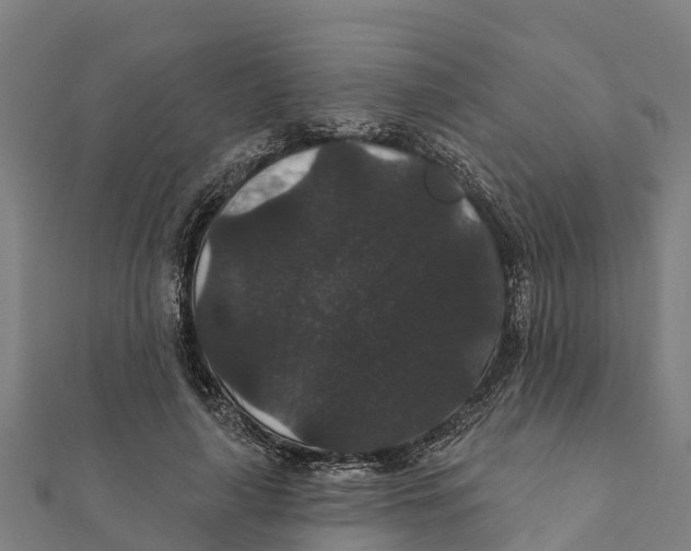 X0000111590643200908131341