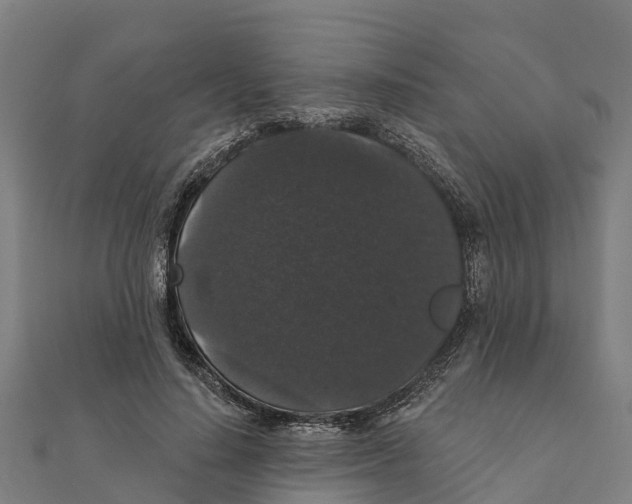 X0000111590644200908131341