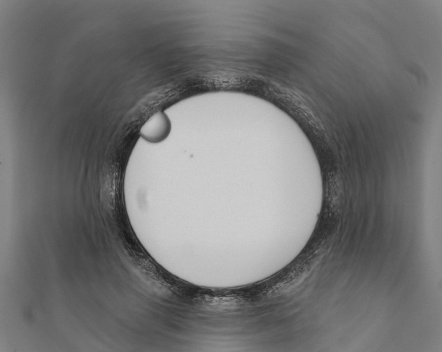 X0000111590645200908131341