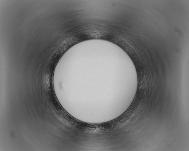 X0000111590646200908131341