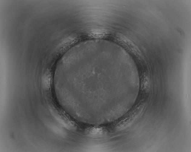 X0000111590647200908131341