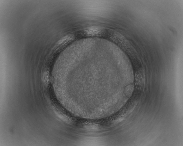 X0000111590648200908131341