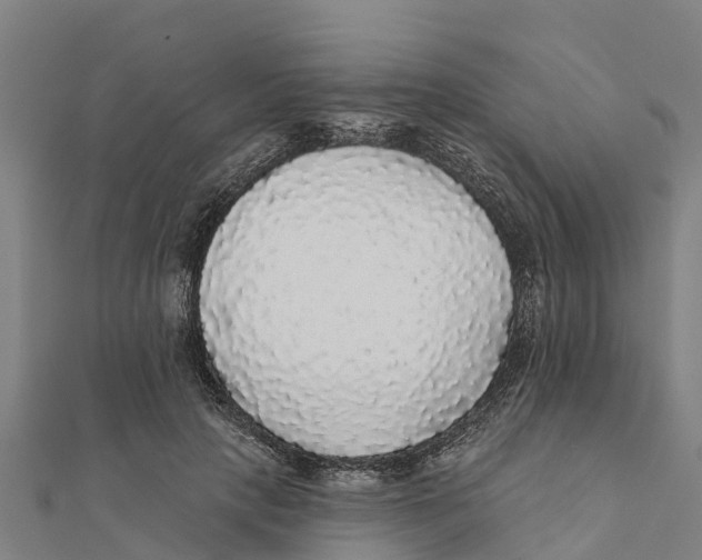 X0000111590649200908131341