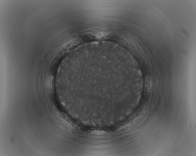 X0000111590650200908131341