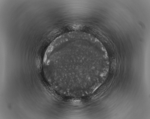 X0000111590651200908131341