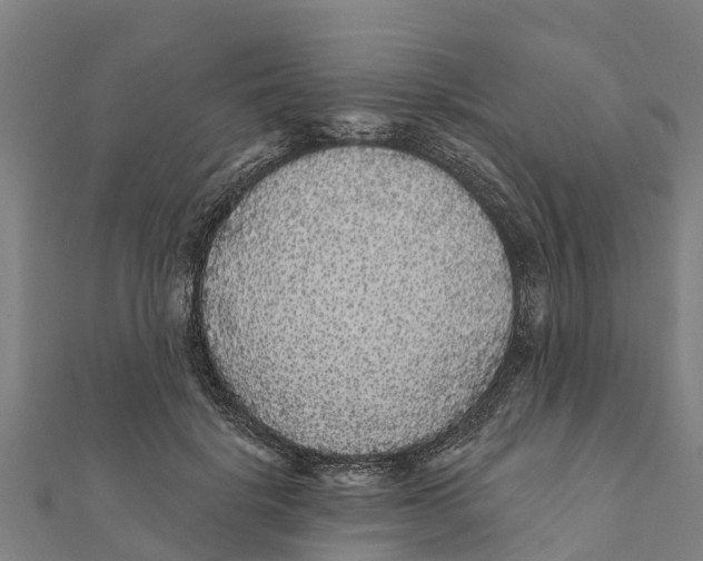 X0000111590652200908131341