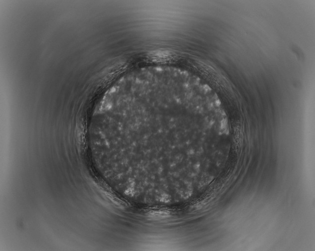 X0000111590653200908131341
