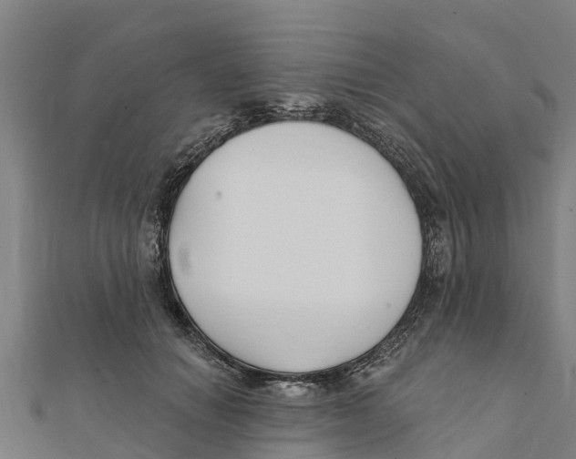 X0000111590654200908131341