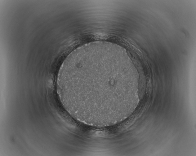X0000111590655200908131341
