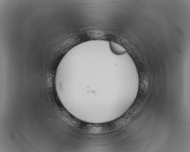 X0000111590658200908131341