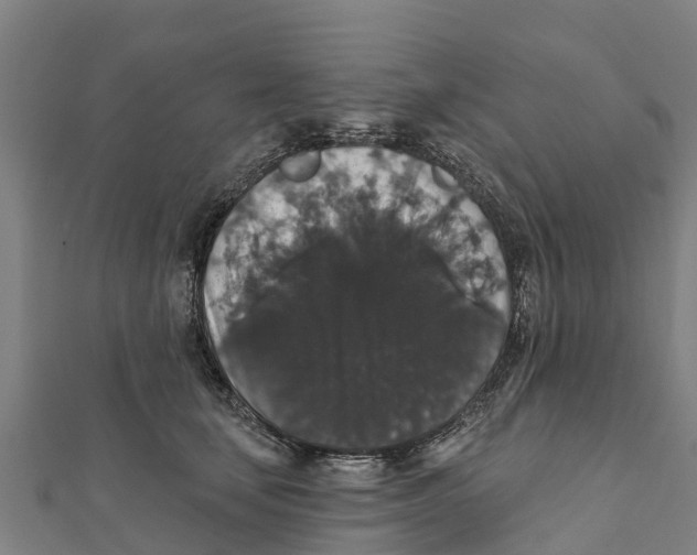 X0000111590659200908131341
