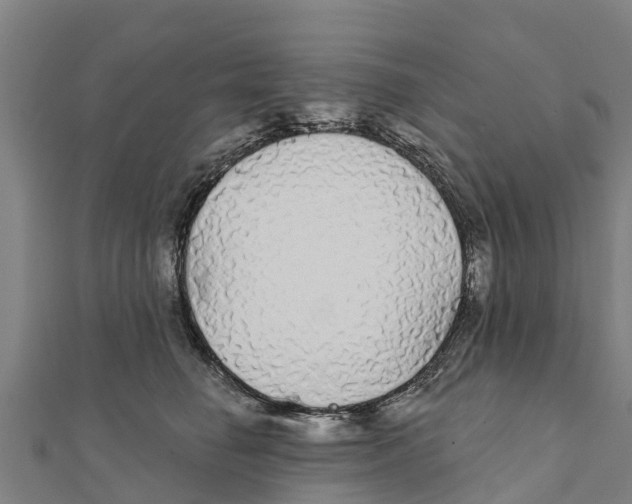 X0000111590662200908131341