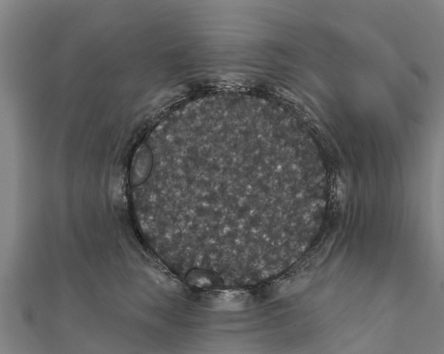 X0000111590663200908131341