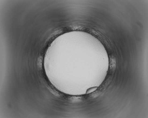 X0000111590664200908131341